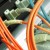 network