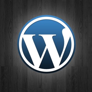 pohojie-zapisi-plugin-wordpress